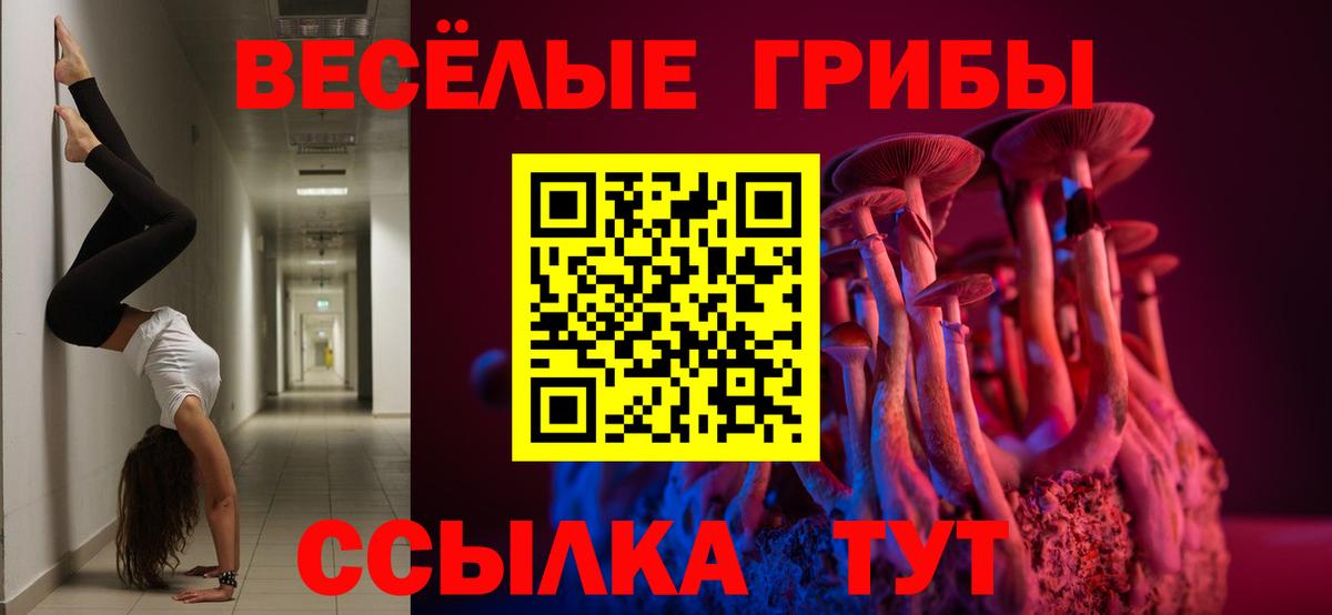 Сочи  Галлюциногенные грибы MAGIC MUSHROOMS  Псилоцибиновые грибы мицелий  Вход с VPN 